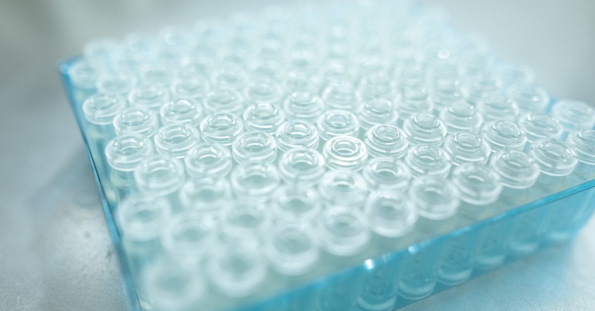Viales de vidrio ordenados en una bandeja azul de laboratorio, listos para su almacenamiento en frío